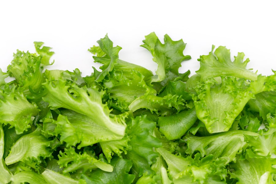 청상추 1kg